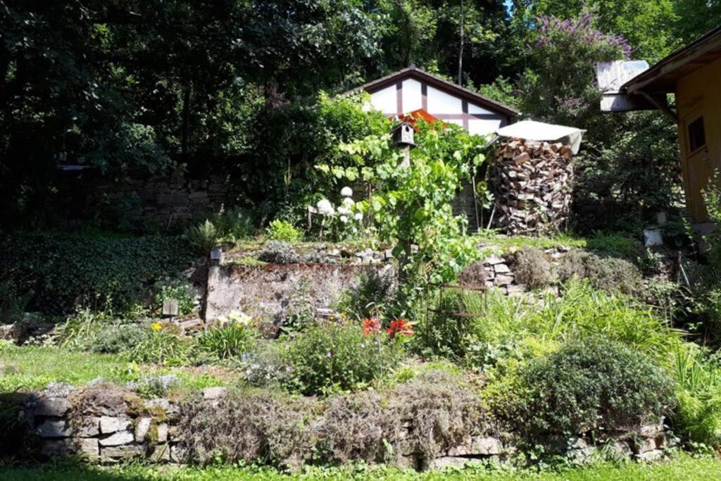 Eine gemütliche Ferienwohnung mit Garten Bad Karlshafen Exterior foto
