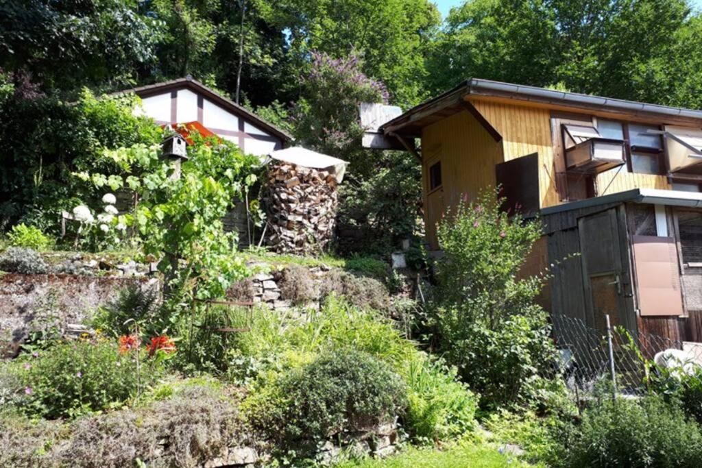 Eine gemütliche Ferienwohnung mit Garten Bad Karlshafen Exterior foto