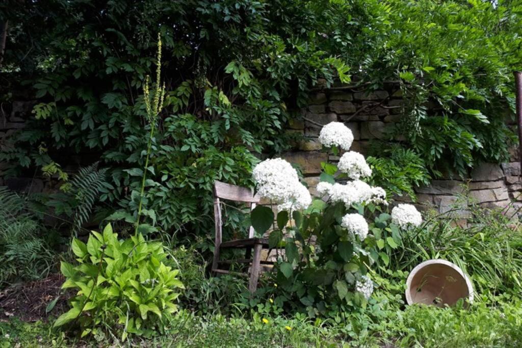 Eine gemütliche Ferienwohnung mit Garten Bad Karlshafen Exterior foto